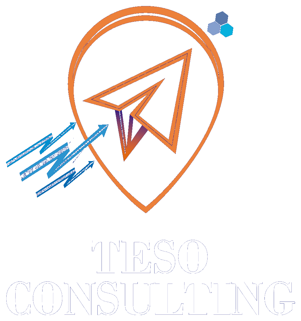TESO Consulting